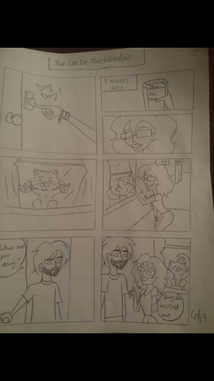 The cat at the window