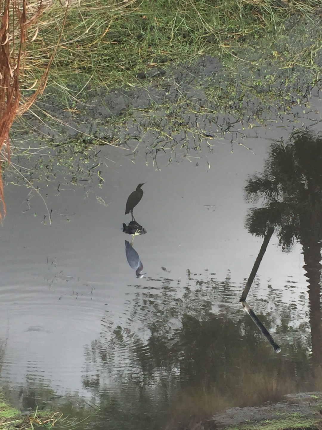 What it is like when it is raining