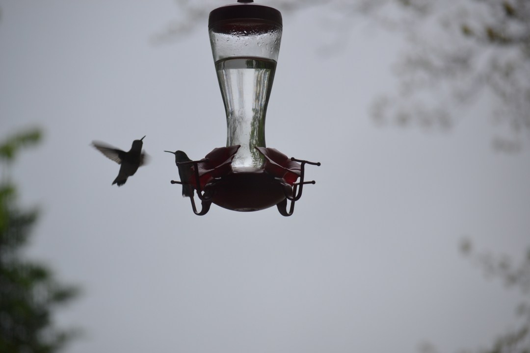 Wait For Your Turn.JPG